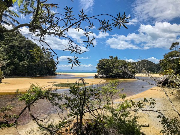 Comment planifier une visite des vignobles de la région de Marlborough, Nouvelle-Zélande?